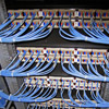 Voice and Data Cabling